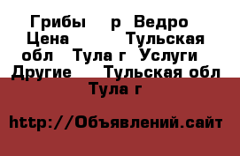 Грибы 500р. Ведро › Цена ­ 500 - Тульская обл., Тула г. Услуги » Другие   . Тульская обл.,Тула г.